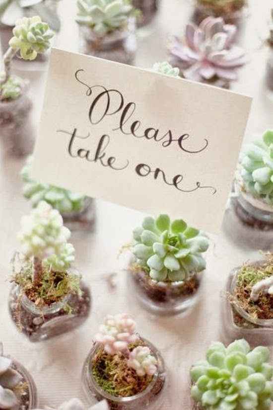 Pero un poco mas grandes que estas 