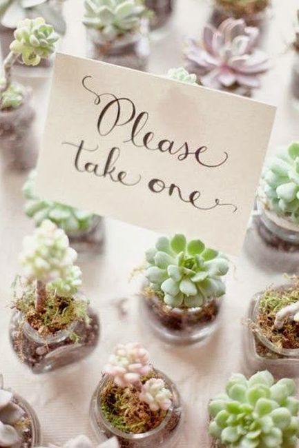 Pero un poco mas grandes que estas 