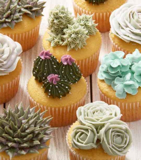 Cupcakes 