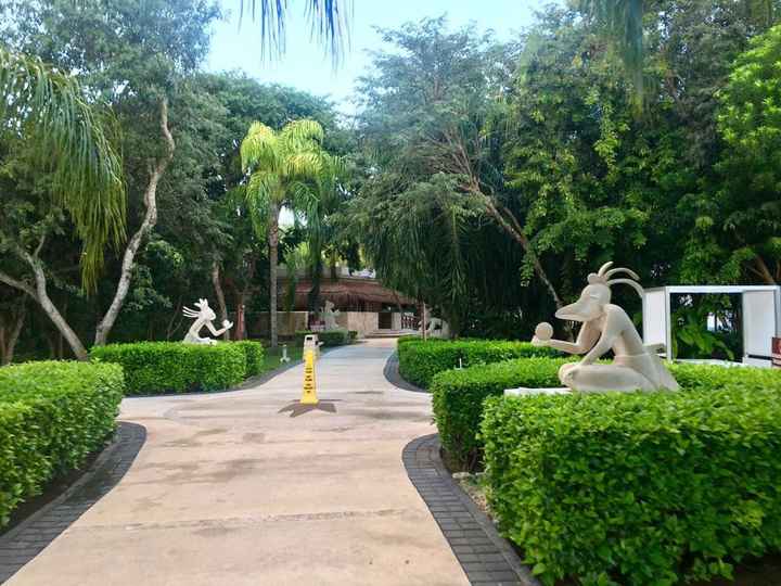 Luna de miel en riviera maya... - 2