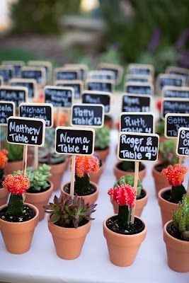 Suculentas para tus invitados - 1