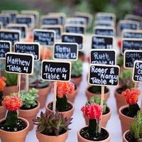 Suculentas para tus invitados - 1