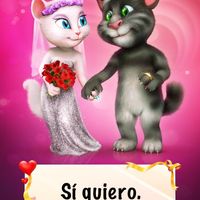 Si quiero
