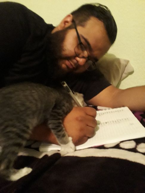 Michi al rescate😸😹😻 - 3