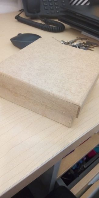 Pedimento a Padrinos 4