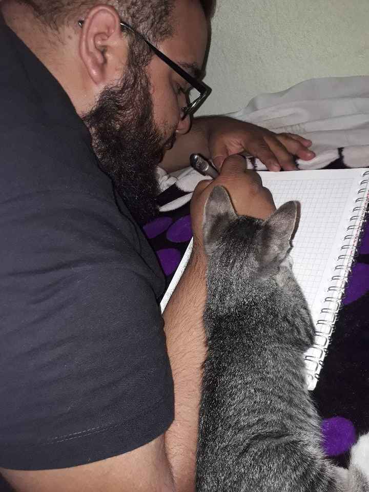 Michi al rescate😸😹😻 - 1
