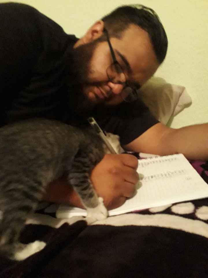 Michi al rescate😸😹😻 - 3