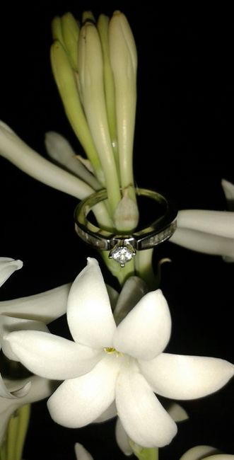 Como es tu anillo?:) - 1