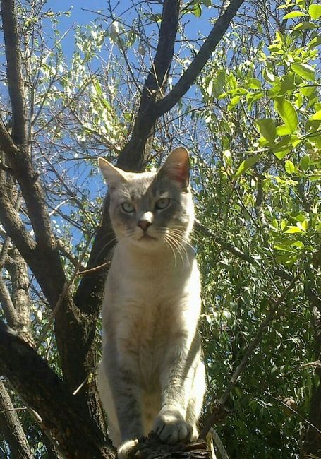 Mi perro es mi hijo!! - 2