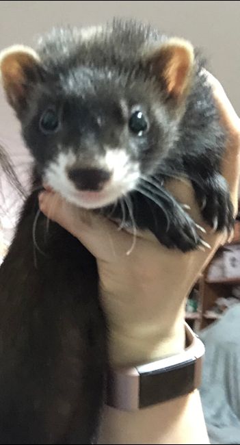 Chicas cuidado con los zapatos - 1