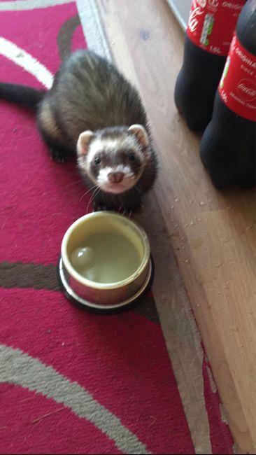 Chicas cuidado con los zapatos - 2