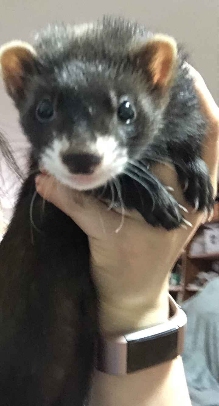 Chicas cuidado con los zapatos - 1