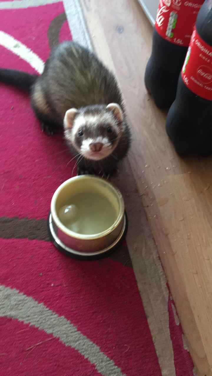 Chicas cuidado con los zapatos - 2