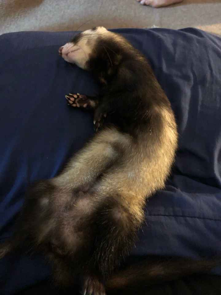 Chicas cuidado con los zapatos - 3