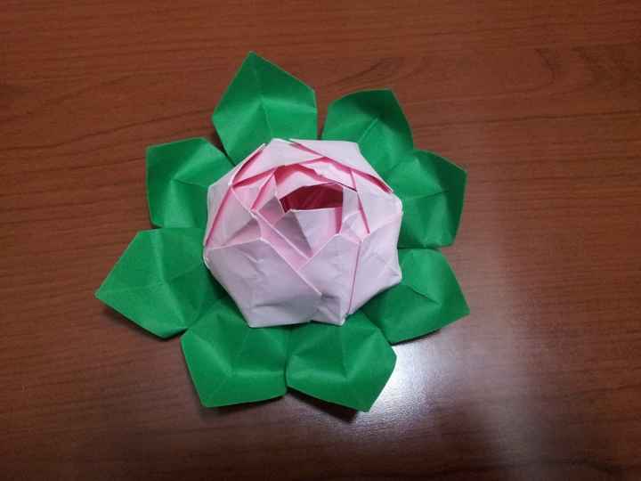 Flor de Loto