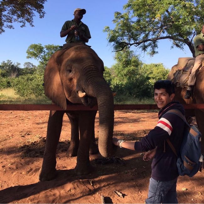 Sorpresa en la trompa de un Elefanta !
