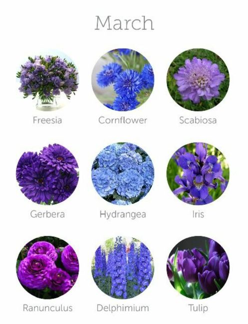 Colores de flores para el mes de Marzo