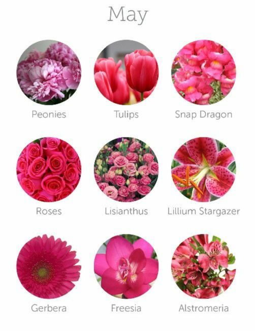 Colores de flores para el mes de Mayo