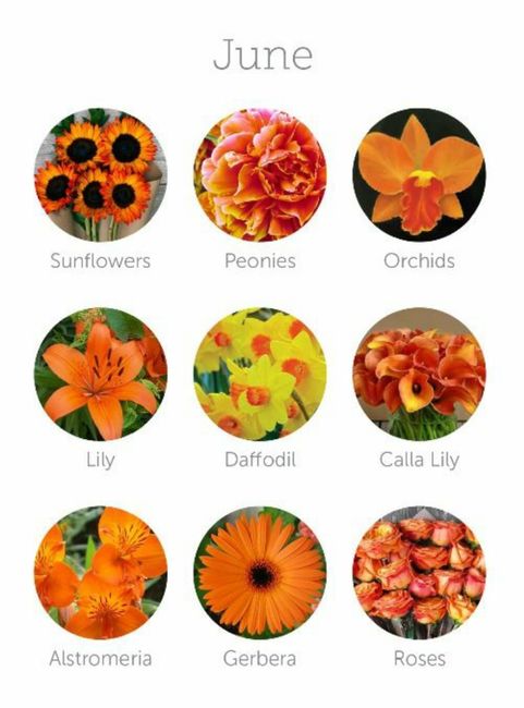 Colores de flores para el mes de Junio