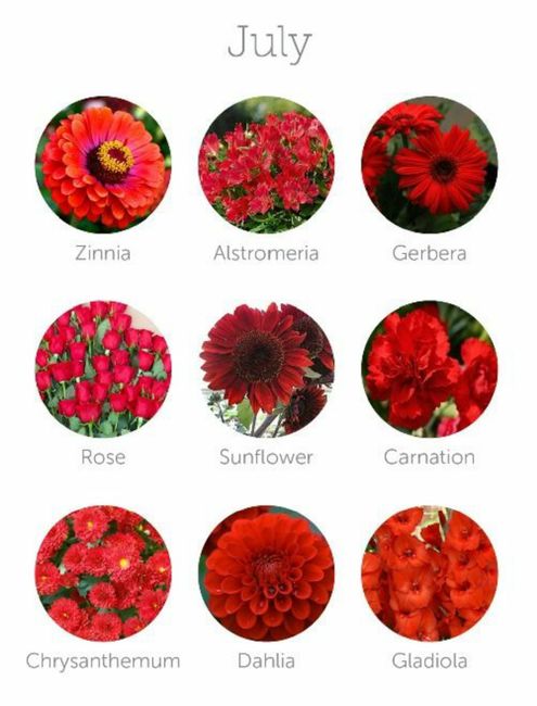 Colores de flores para el mes de Julio
