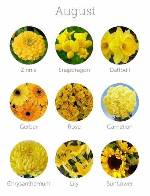 Colores de flores para el mes de Agosto
