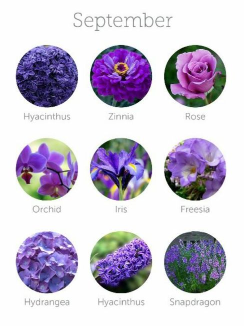 Colores de flores para el mes de Septiembre