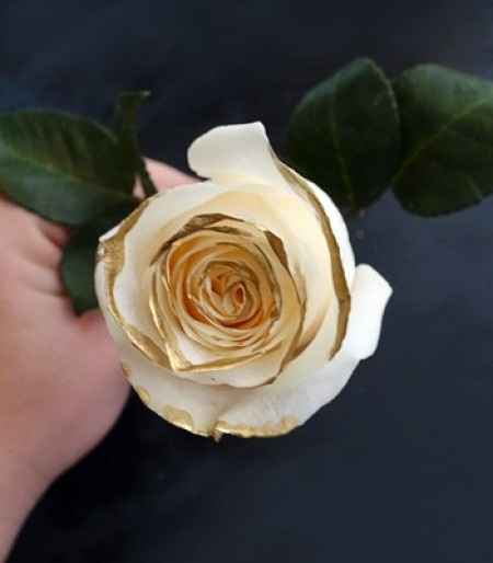 rosa dorada