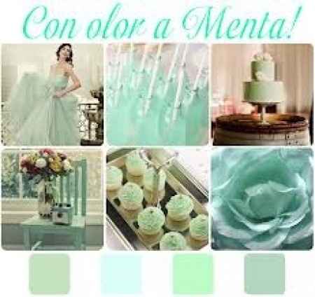 mis colores  menta y palo de rosa