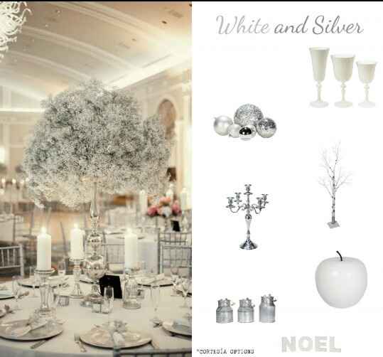 Combinaciones de colores en blanco y plata - 4