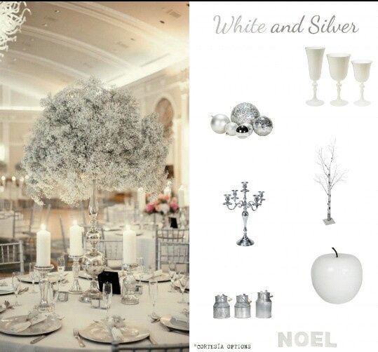 Combinaciones de colores en blanco y plata - 4