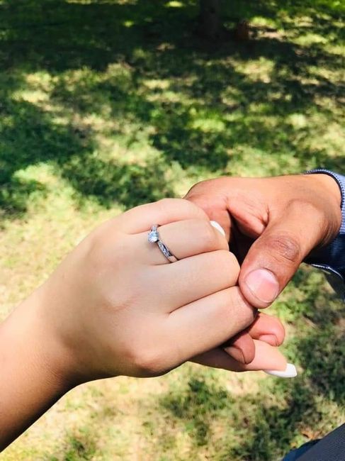 Catálogo de anillos de la Comu 43