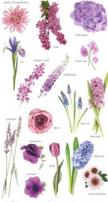 Flores ideales