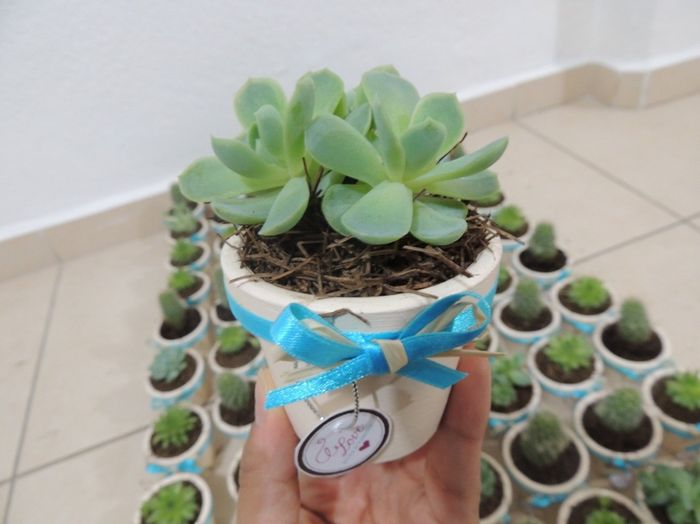 Mis recuerditos