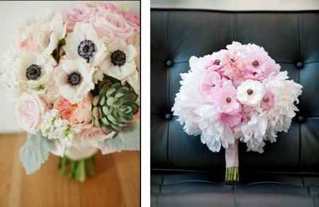 anemonas