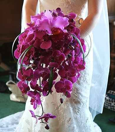 Que pasa con el ramo? - 3