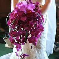 Que pasa con el ramo? - 3