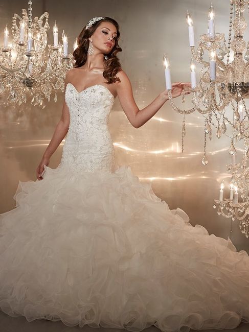 Mi vestido lo amo - 1