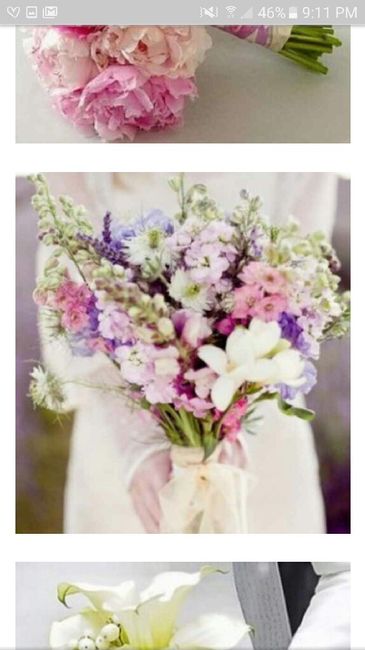 Ramos, ramos y mas ramos - 2