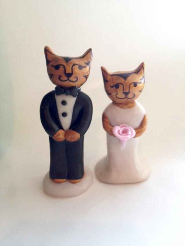 Novios gatos