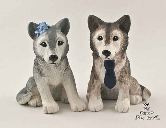 Pequeños huskies