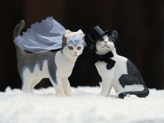 Gaticos