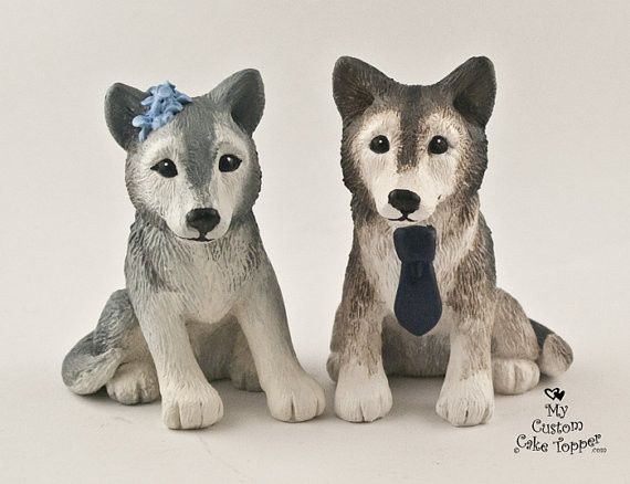 Pequeños huskies