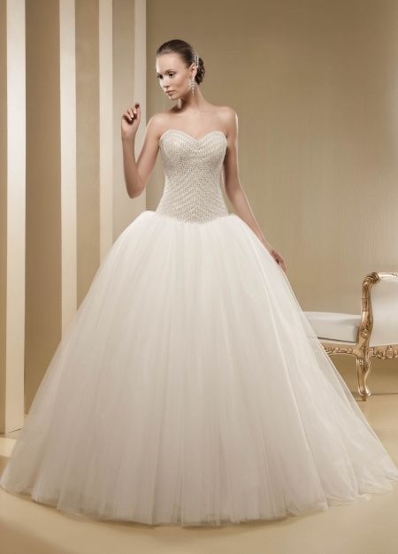 forma oval