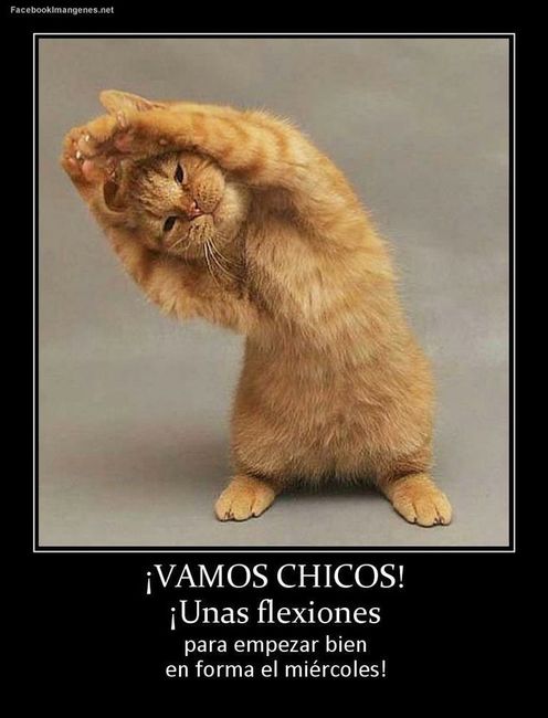 miercoles