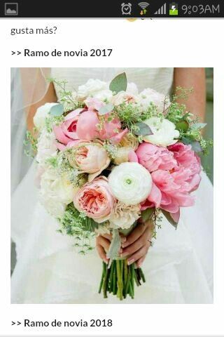 Mi estilo de novia 2017 - 10