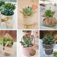 "Mis recuerdos de ensueño" #mayra - 1