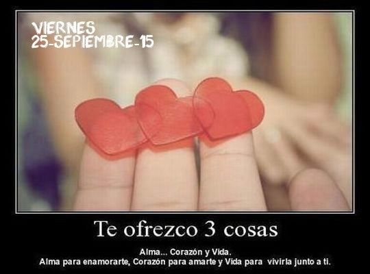 Te ofrezco 3 cosas
