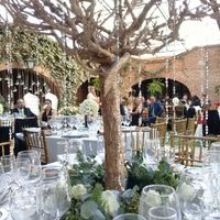  Me encantó mi boda😍 - 4