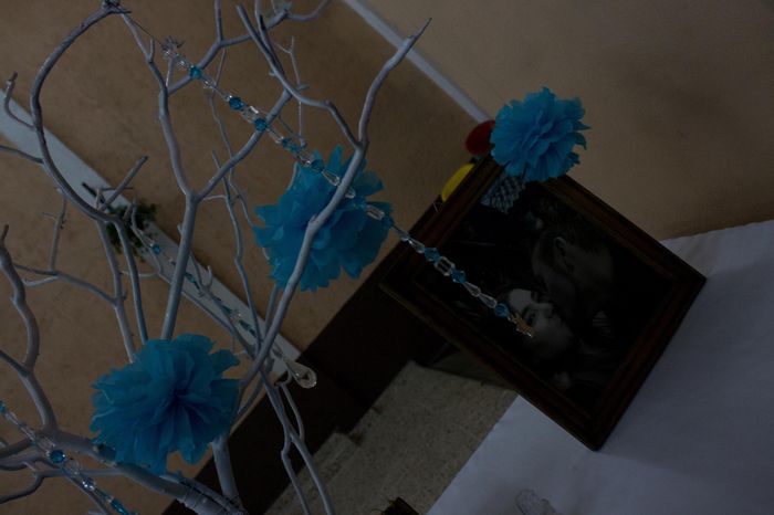 NUESTRO ARBOL DE LOS DESEOS