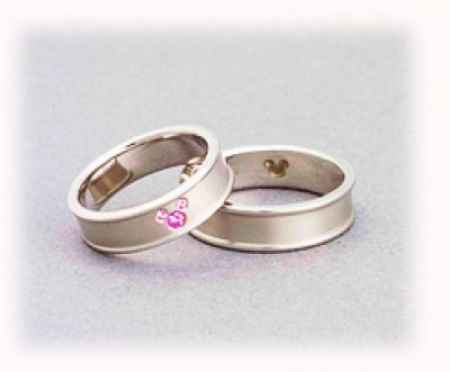 ARGOLLAS